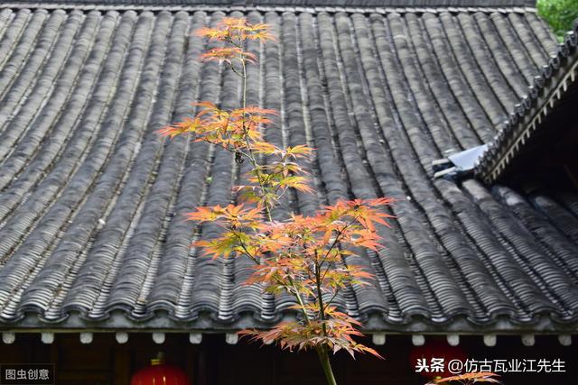 導(dǎo)讀:農(nóng)村蓋房用樹脂瓦適合嗎?聽完行家的分析,恍然大悟