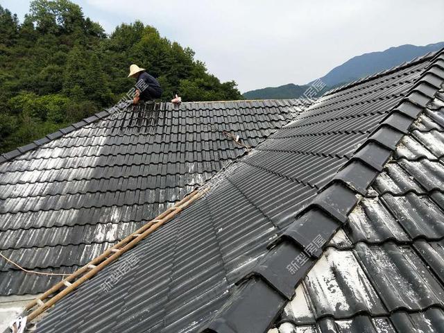 30元一平的樹脂瓦省錢又耐用?網友:吃飽沒事干,用一年就得換